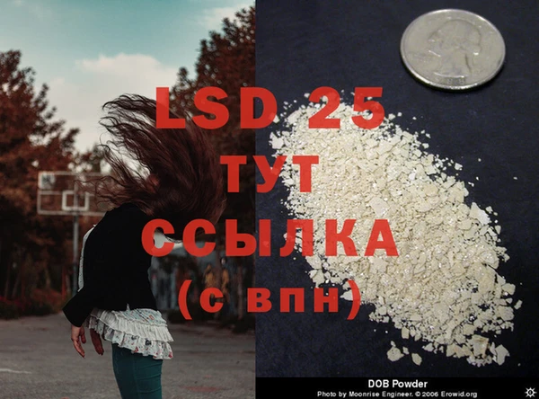 spice Баксан