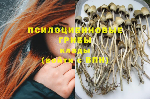 ГАЛЛЮЦИНОГЕННЫЕ ГРИБЫ Балабаново