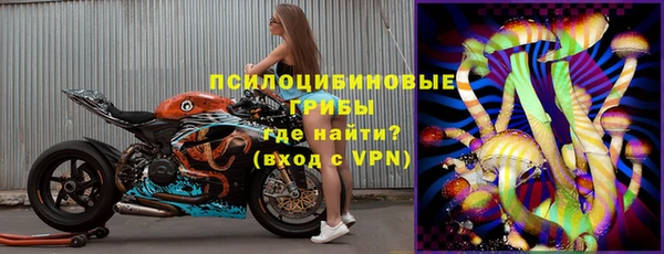 ГАЛЛЮЦИНОГЕННЫЕ ГРИБЫ Балабаново