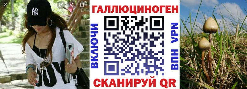 Псилоцибиновые грибы мухоморы Купить где Ворсма