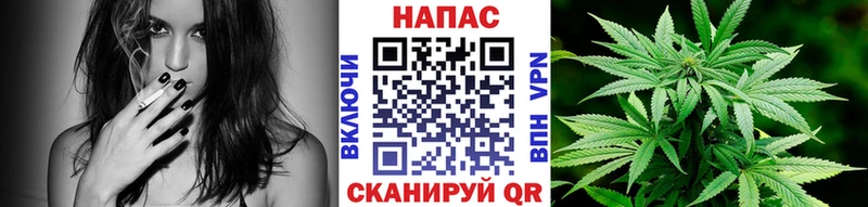 Купить закладки  Ворсма  Каннабис VHQ 
